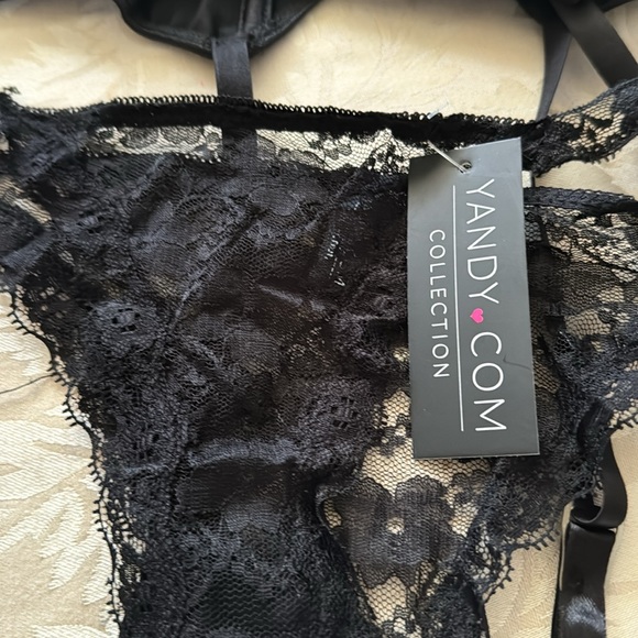 Garter belt , stockings and lace panty new in packages 1x2x - Picture 6 of 6